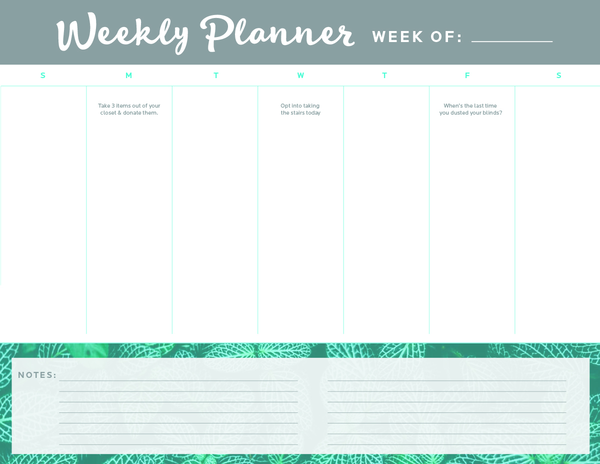 Day Calendar Graphic 2