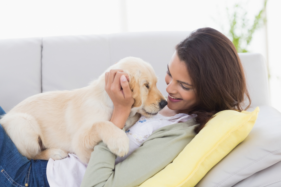 Guide To Cleaning Every Type Of Pet Stain 2