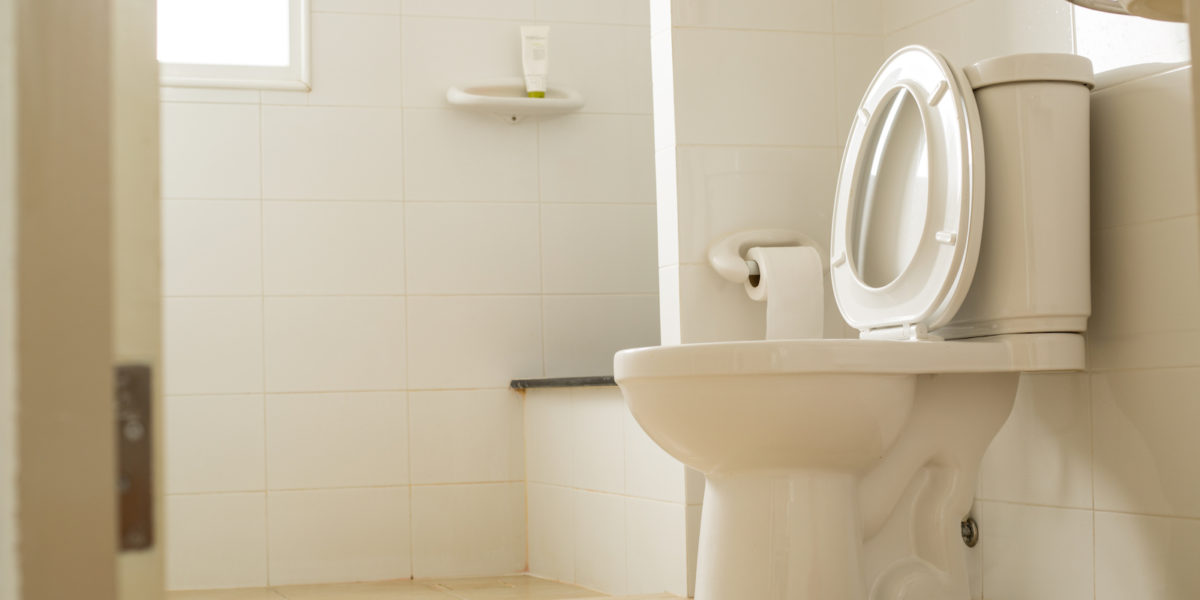 How Much Bacteria Is on Your Toilet The Cleaner Home